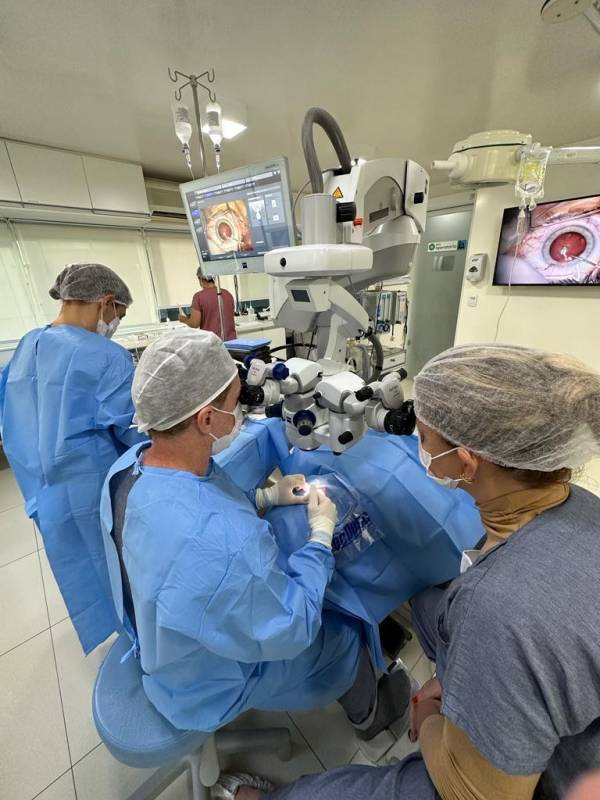 Onde Marcar Médico Especialista em Cirurgia de Vitrectomia Vila Regente Feijó - Médico Especialista em Cirurgia de Catarata